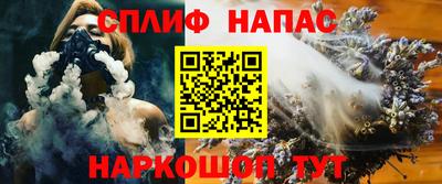 МДПВ Будённовск