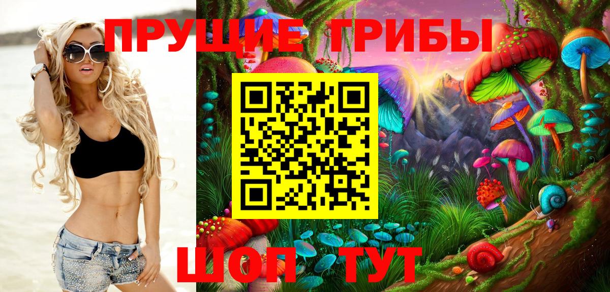 Галлюциногенные грибы GOLDEN TEACHER  Вход с VPN  где купить наркотик  Артём 